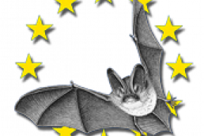 Enlarge the image